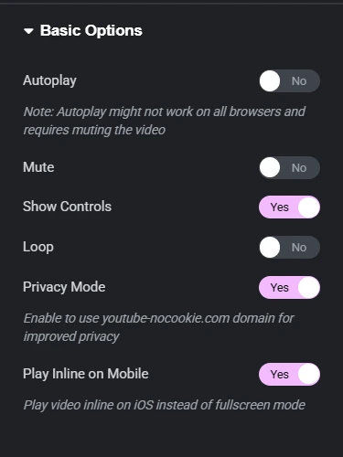 Screenshot of the Custom iFrame for Elementor Plugin interface showing YouTube Embed settings. Options like Autoplay, Mute, Controls Display, Loop, Enhanced Privacy Mode, and Mobile Inline Playback are clearly labeled with toggles set to either Yes or No. Designed to customize embedded YouTube videos within Elementor websites.