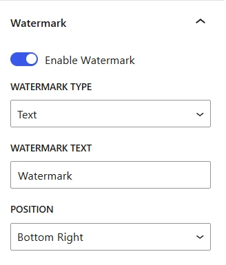 Watermark settings panel in Custom iFrame plugin for WordPress Gutenberg editor showing options to enable watermark, set type to text, input label, and position it bottom right—demonstrating how to add watermark to embedded content using Gutenberg’s Custom iFrame block.